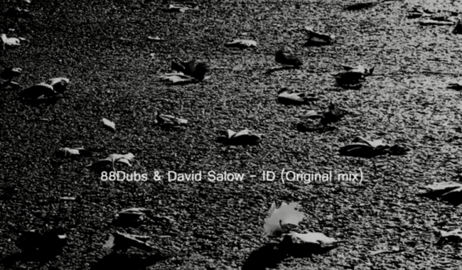 88Dubs & David Salow - 2Point (Original mix)